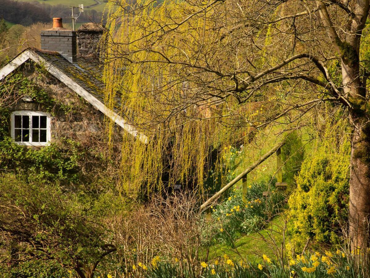 Dolgenau Cottages Trefeglwys Eksteriør bilde