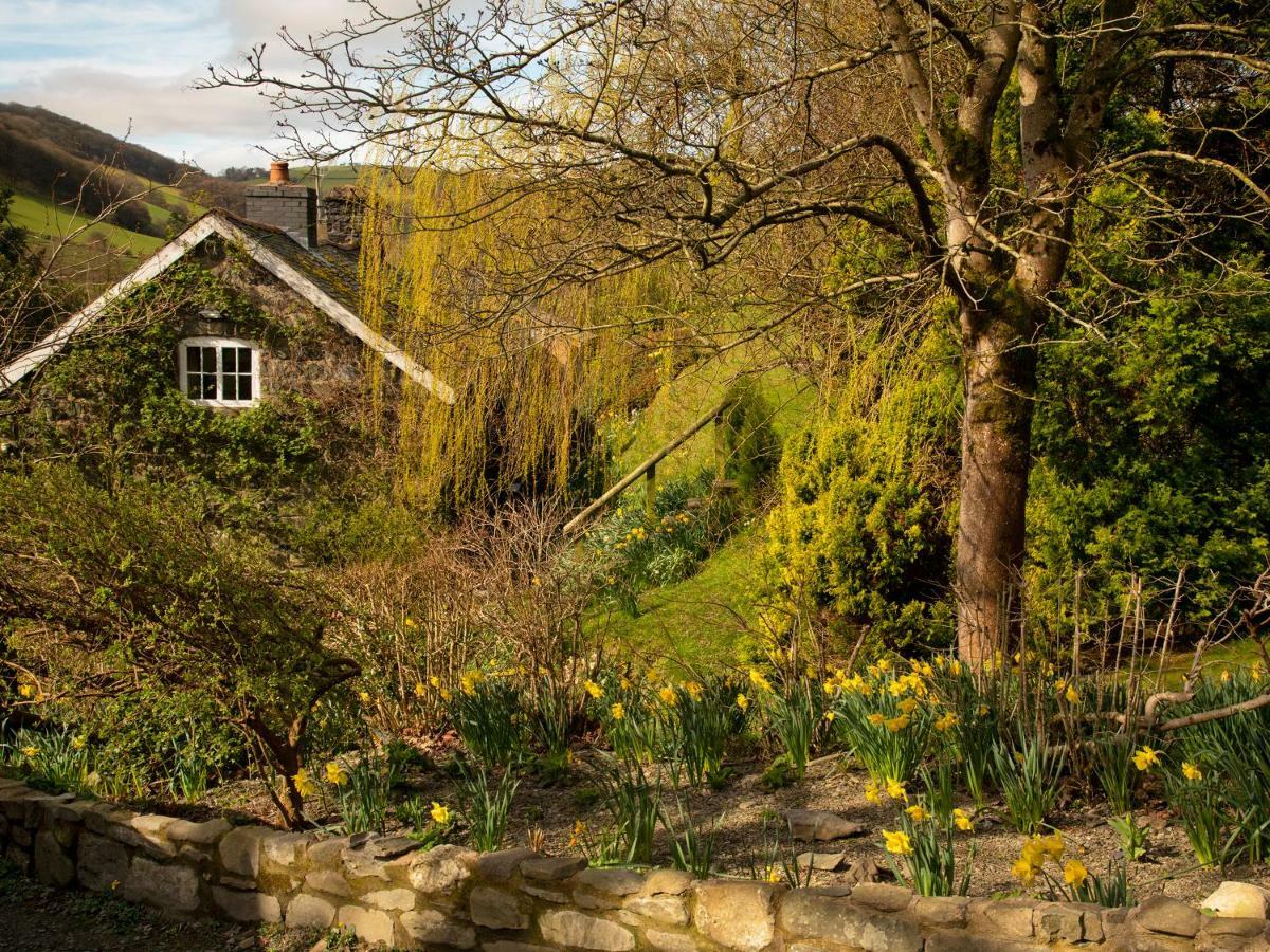Dolgenau Cottages Trefeglwys Eksteriør bilde